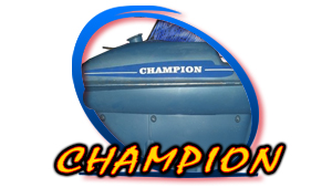 Champion Decals